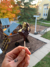 Load image into Gallery viewer, Divine White Pine Pops