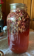 Load image into Gallery viewer, Milkweed Flower + Yarrow Cordial Lemon Poppyseed Bundt Cakes w/ Lemon Tremella Frosting (grain-free, contains nuts)