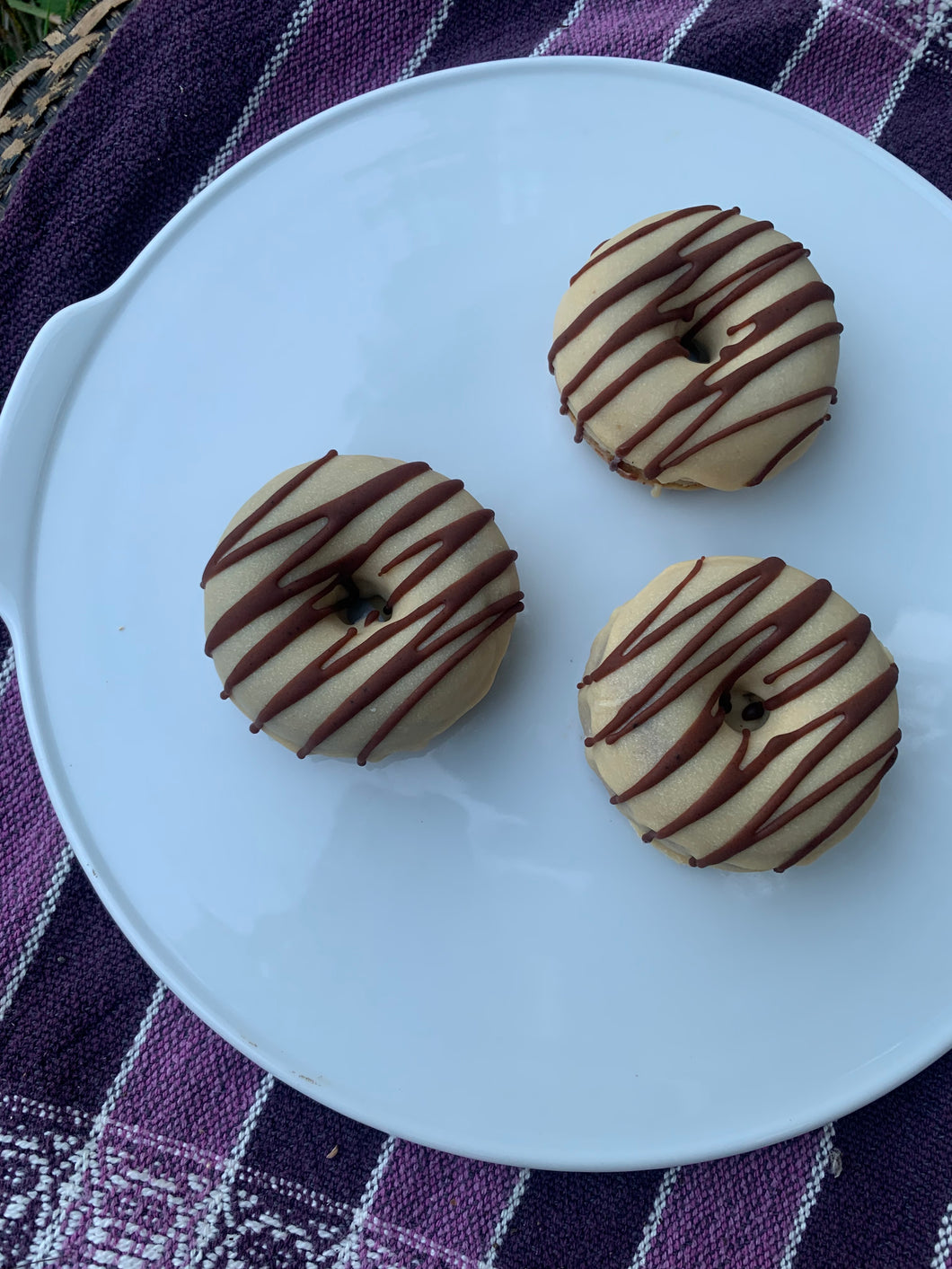 Birch Doughnuts w/ Chaga Frosting (Nut Free, Grain-Free, Vegan)