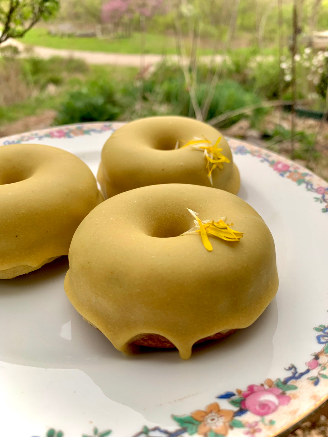 Dande-Lion’s Mane Doughnuts (Nut Free, Grain-Free, Vegan)