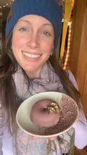 Load image into Gallery viewer, Pistachio Rosewater Cardamom Doughnuts *ships* (contains nuts)
