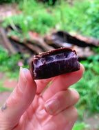 Violet, Tremella, & Purple Ube Bars in Cardamom Chocolate