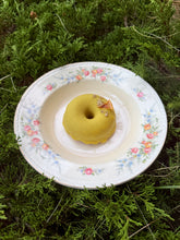 Load image into Gallery viewer, Queen Anne’s Lace Cordial Candied Lemon Doughnuts (GF, vegan)
