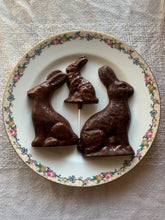 Load image into Gallery viewer, Standard Raw Chocolate Bunnies 3.5”x5.5” (2.0 oz.)
