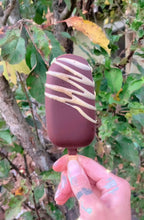 Load image into Gallery viewer, [LOCALS ONLY] Birch + Chaga Raw Chocolate Dipped Nice Cream Pops
