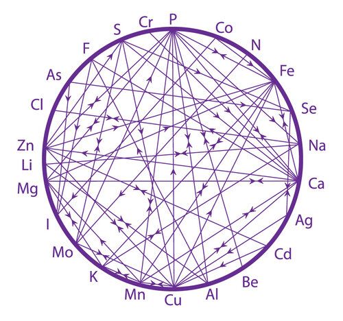 HTMA Test (NO program or recommendations, just analysis and interpretation)