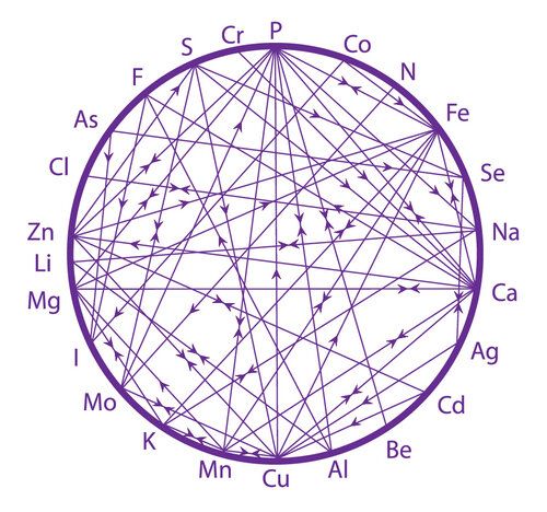 For Tara 2x HTMA Test (NO program or recommendations, just analysis and interpretation)