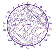 For Tara 2x HTMA Test (NO program or recommendations, just analysis and interpretation)