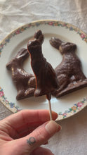 Load and play video in Gallery viewer, Saffron Cardamom Chocolate Bunnies 3.5”x5.5” (2.0 oz.)
