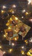 Halloween Reishi Caramel Pops