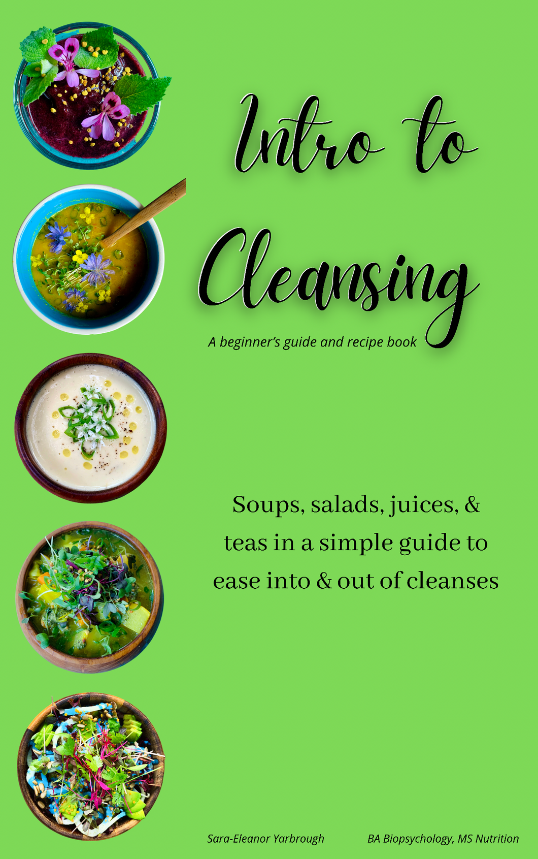 Intro to Cleansing eBook PREORDER
