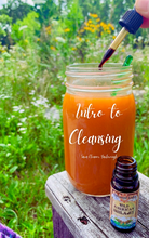 Load image into Gallery viewer, Intro to Cleansing eBook PREORDER
